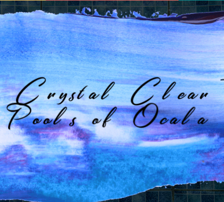 Crystal Clear Pools of Ocala (Williston,&nbspFL)